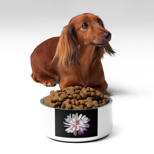 Centennial Blush Star Magnolia -Pet bowl